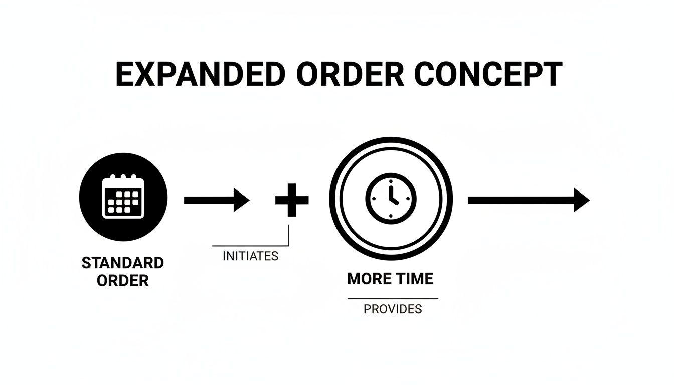 Diagram illustrating the Expanded Order Concept: Standard Order initiates more time, providing an outcome.
