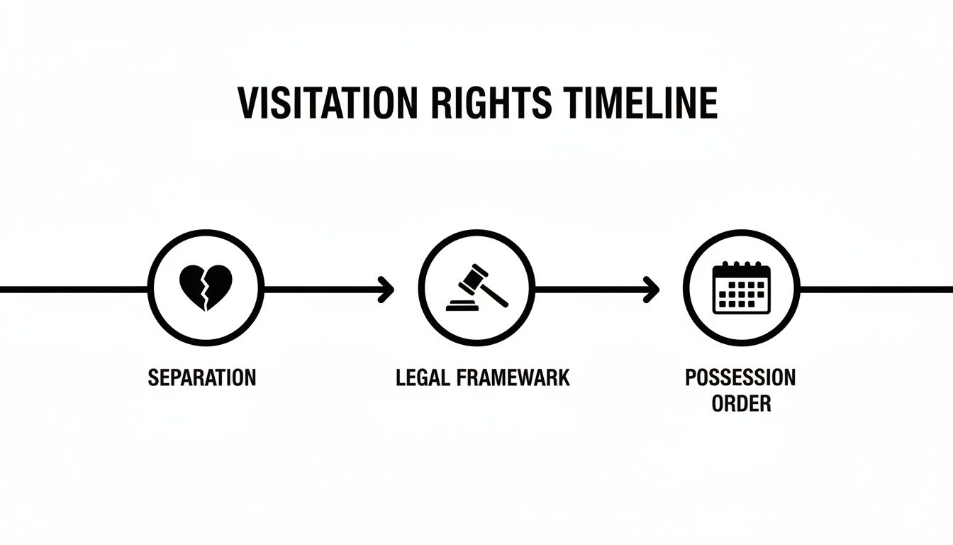 A timeline graphic illustrating the process of visitation rights: separation, legal framework, and possession order.